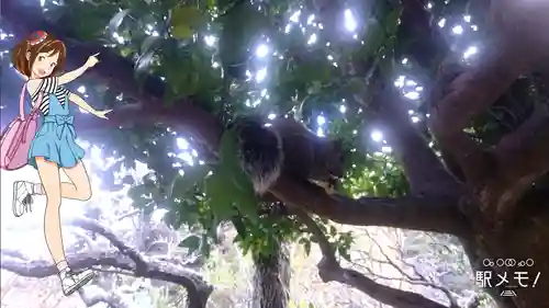 光則寺(神奈川県)