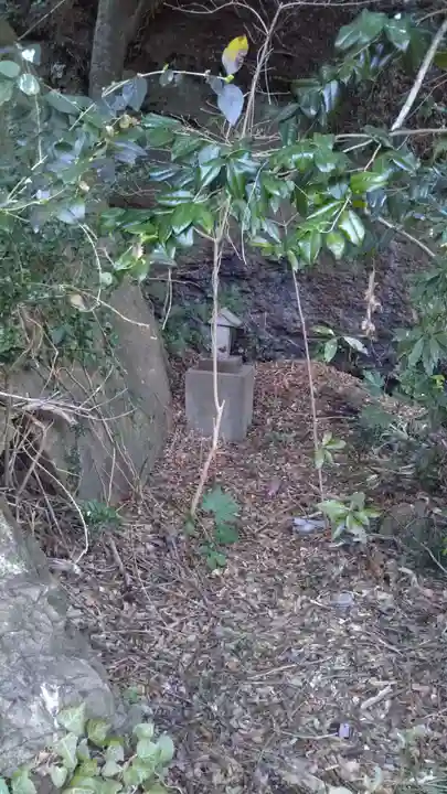 草薙神社の自然