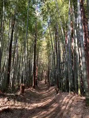 稲倉神社の自然