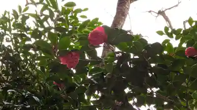 大豊神社(京都府)