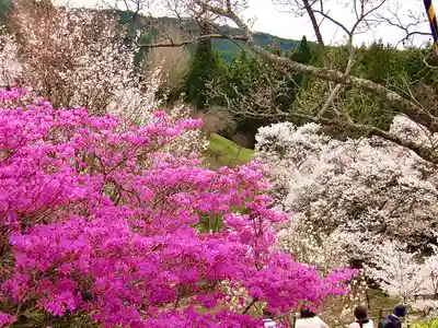 仏隆寺(奈良県)