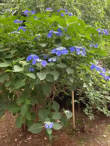 建長寺(神奈川県)