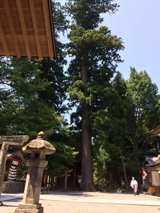 雲八幡宮の御朱印