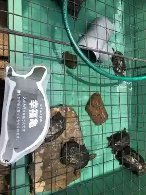 浄光寺の動物