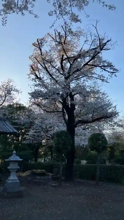 日枝神社(東京都)