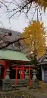 榎戸稲荷神社の鳥居