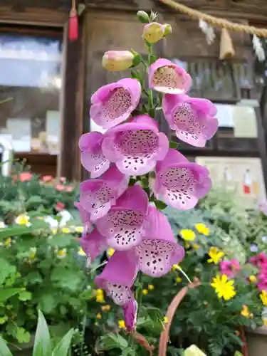 岡部春日神社～👹鬼門よけの🌺花咲く🌺やしろ～(福島県)