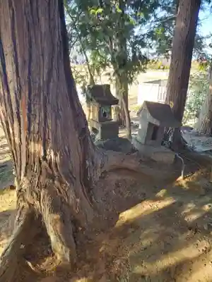 一本松稲荷神社の自然