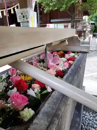 鳩森八幡神社(東京都)