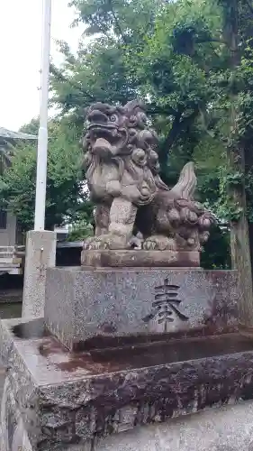 関前八幡神社の狛犬