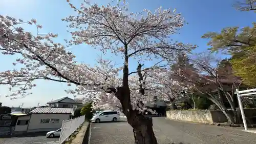 柏木神社(宮城県)