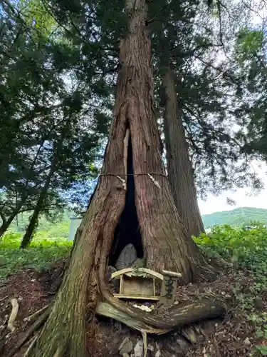 山家神社(長野県)