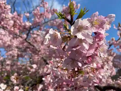 長円寺(京都府)