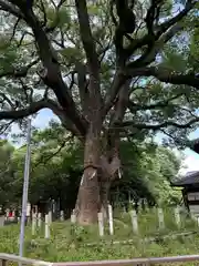 鳴海八幡宮(愛知県)