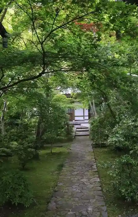 善法律寺の建物その他