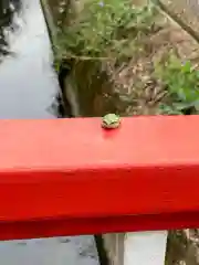 石母田　三吉神社の動物