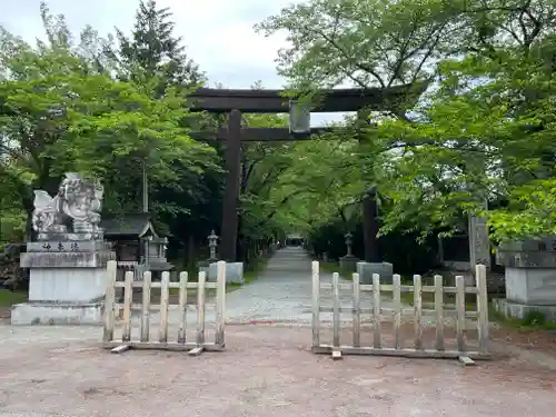 冨士御室浅間神社の鳥居