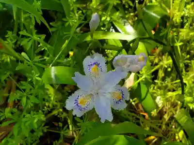 舟城神社の自然