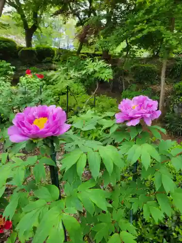 隆国寺(兵庫県)