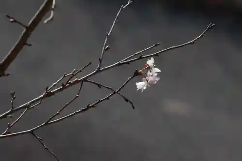 国宝 大法寺(長野県)