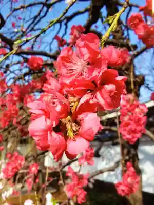 圓照寺(東京都)
