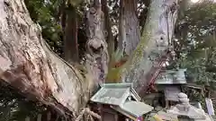 八坂神社(京都府)