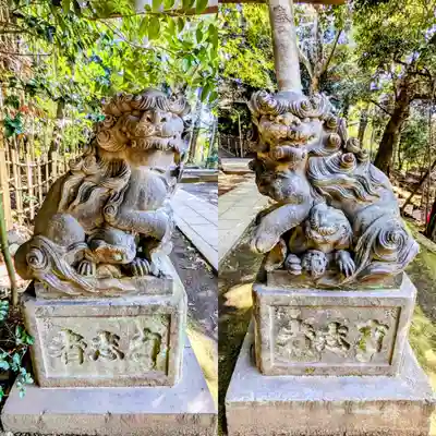 渋谷氷川神社の狛犬