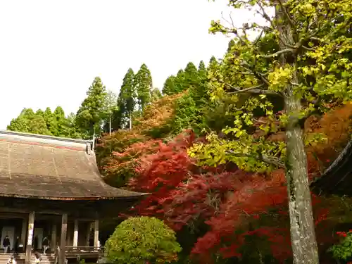 大原寺勝林院(京都府)