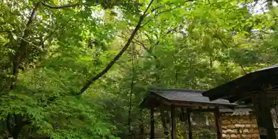 野宮神社(京都府)