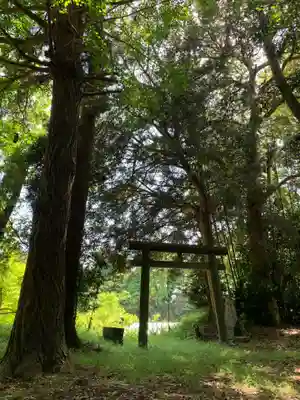水神社(千葉県)
