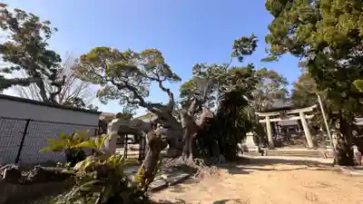 石清水鳥飼八幡別宮(兵庫県)