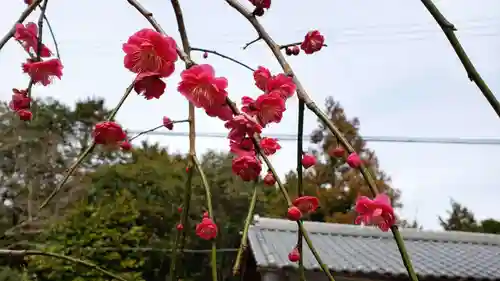 畑峯六地蔵尊（こんにゃく地蔵）の自然