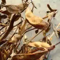 滑川神社 - 仕事と子どもの守り神のその他建物