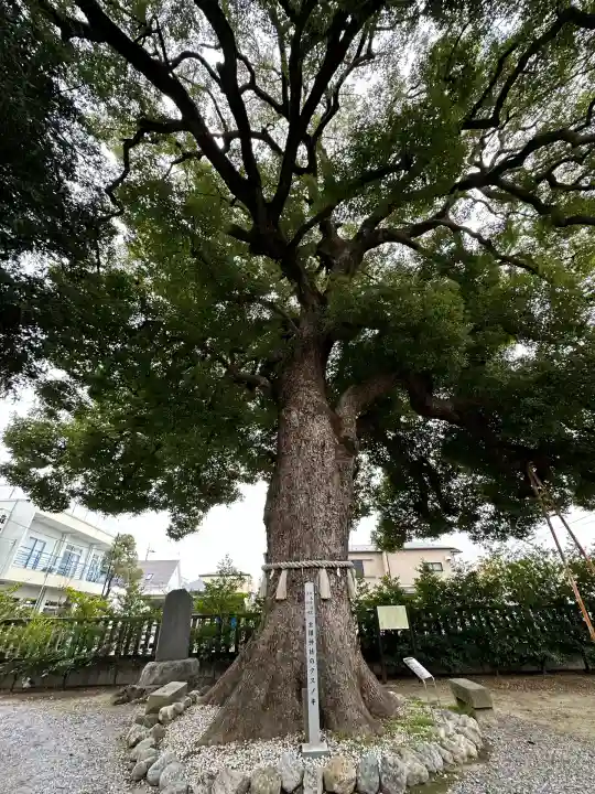 金鑚神社(埼玉県)