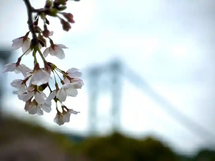 和布刈神社の自然