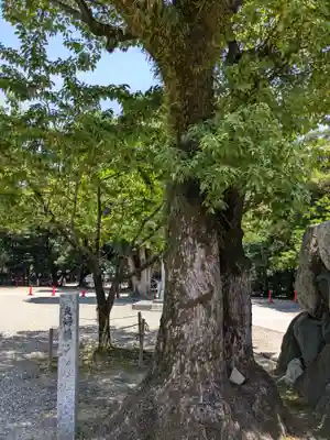 真清田神社(愛知県)