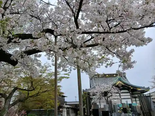妙行寺(千葉県)