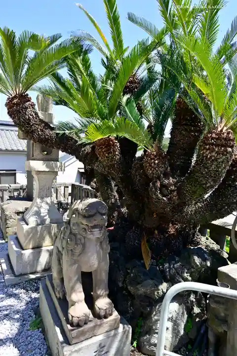 叶神社 (西叶神社)の狛犬