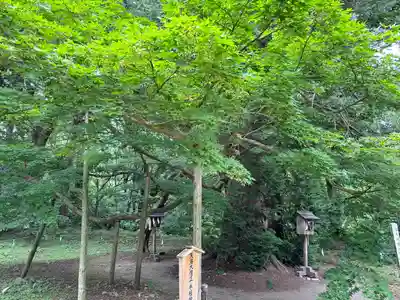 伊佐須美神社(福島県)