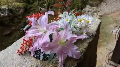 興聖寺(興聖寶林禅寺)(京都府)