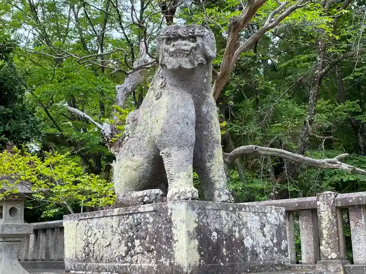 一之宮貫前神社の狛犬