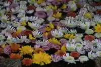 岳温泉神社 の手水舎