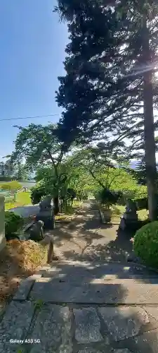 蛇ケ崎八幡神社の{uncategorized: "未分類", other: "その他", undefined: "問題あり", building: "その他建物", grave: "お墓", sacred_gate: "鳥居", guardian: "狛犬", statue: "像", buddha: "仏像", history: "歴史", nature: "自然", garden: "庭園", animal: "動物", pagoda: "塔", temizu: "手水舎", mountain_gate: "山門・神門", sanctuary: "本殿・本堂", subordinate: "末社・摂社", art: "芸術", scenery: "景色", jizo: "地蔵", ema: "絵馬", goshuin: "御朱印", omikuji: "おみくじ", items: "授与品その他", amulet: "お守り", goshuincho: "御朱印帳", eats: "食事", festival: "お祭り", votive_dance: "神楽", shichigosan: "七五三参", wedding: "結婚式", experience: "体験その他", initially: "初詣", around: "周辺", anti_infection: "感染症対策"}