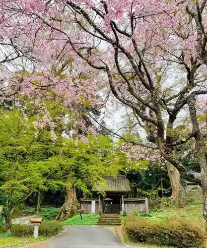 仏生寺の自然