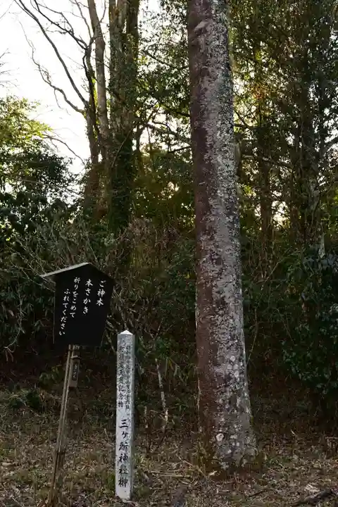 三ケ所神社(宮崎県)