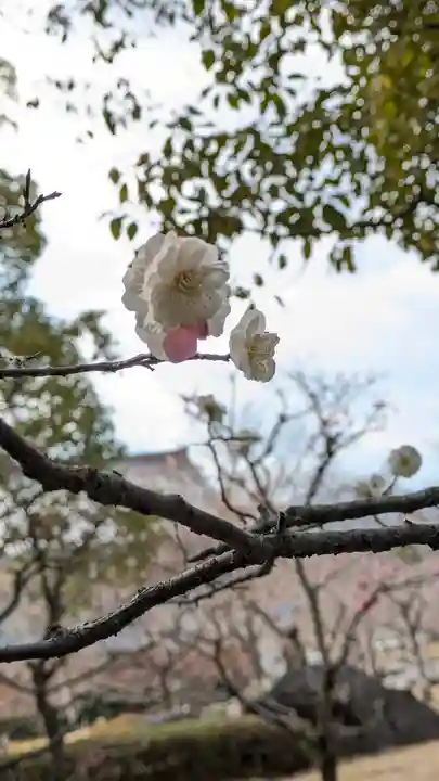 智積院(京都府)