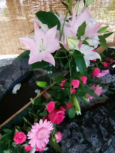 厚別神社(北海道)