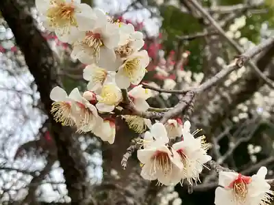 谷保天満宮(東京都)