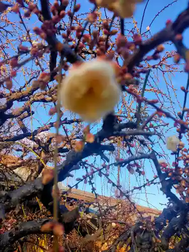 結城神社(三重県)