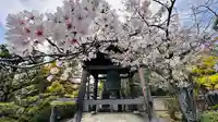 蓮華寺(京都府)